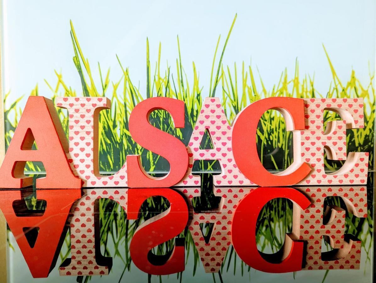 Citycosy-Strasbourg: Boston Espla מראה חיצוני תמונה
